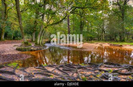 Acqua Ober New Forest Hampshire Foto Stock