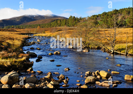 Fiume Muick vicino a Ballater, Aberdeenshire, Scozia Foto Stock