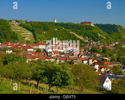 Freyburg con il castello di Neuenburg, Freyburg/Unstrut, Sassonia-Anhalt, Germania Foto Stock