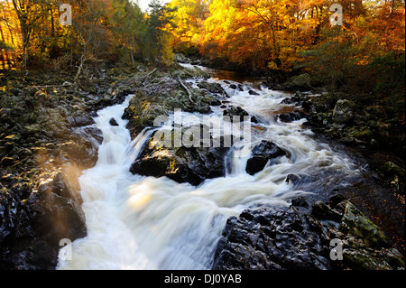 Cade di Feugh vicino a Banchory, Aberdeenshire, Scozia Foto Stock