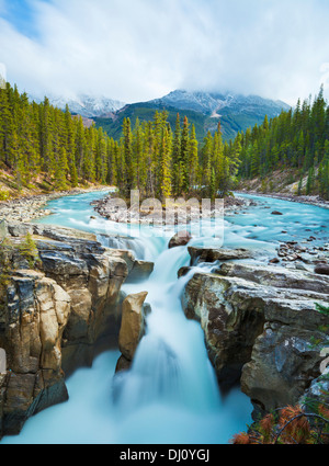 Sunwapta cade sul fiume Sunwapta Icefields Parkway del Parco Nazionale di Jasper Alberta Canada America del Nord Foto Stock