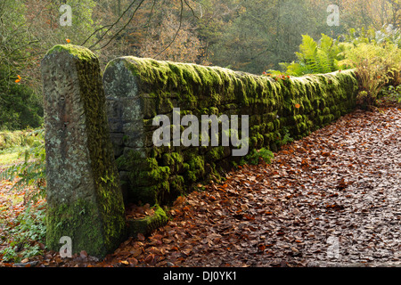 Gibson Mill, Hardcastle Crags, West Yorkshire. Foto Stock