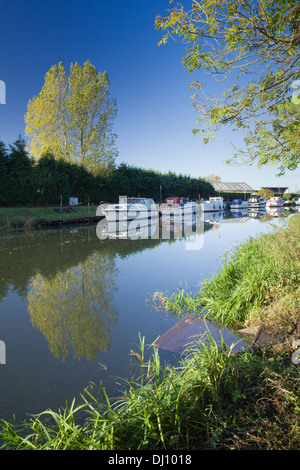 Barche ormeggiate a Brigg Marina sul fiume Ancholme in Lincolnshire settentrionale Foto Stock