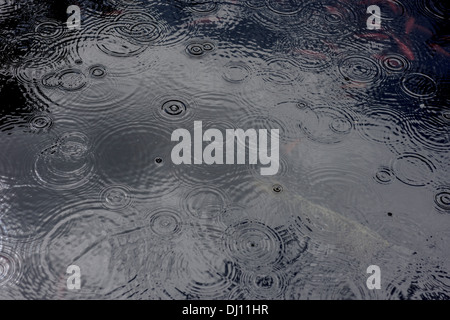 Pioggia caduta su acqua Foto Stock