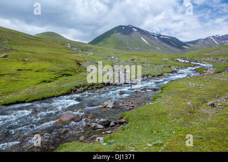 Oriente Karakol fiume nel Tien Shan montagne Foto Stock