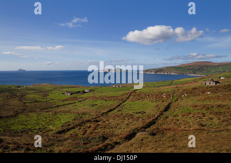 Puffin Island da Skelligs Ring Road vicino Killonecaha, Ring of Kerry County Kerry, Irlanda Foto Stock