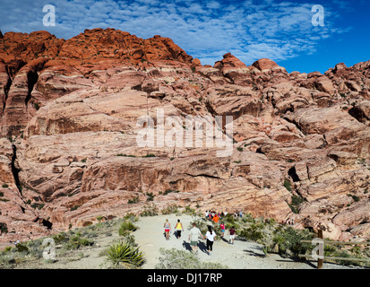 I visitatori possono esplorare il Red Rock Canyon National Conservation Area, circa 20 miglia dal Las Vegas Foto Stock