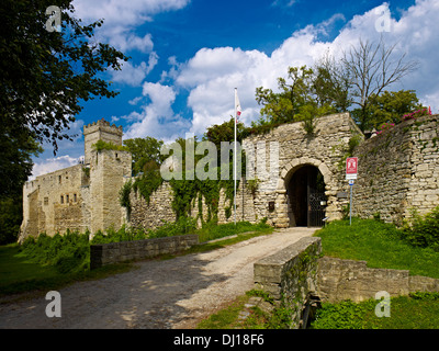 Il castello di Eckartsberga, Burgenlandkreis distretto, Sassonia-Anhalt Foto Stock