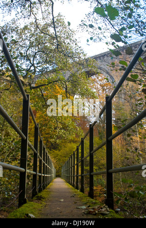 Passerella sul fiume Tyne a Lambley viaduct, Northumberland Foto Stock