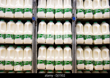 Plastica pinta di quattro bottiglie di British il latte parzialmente scremato impilati in un bilancio di supermercati del Regno Unito. Foto Stock