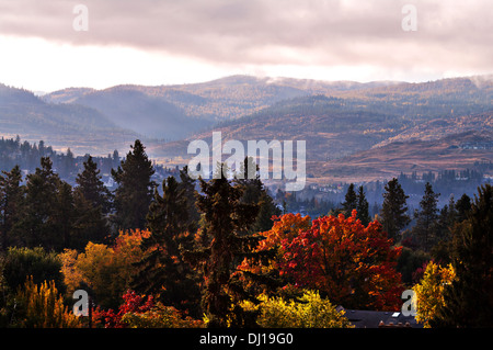 La mattina presto vedute dell'Okanagan Valley Foto Stock