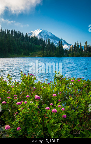 Mount Rainier da Eunice lago; il Parco Nazionale del Monte Rainier, Washington. Foto Stock