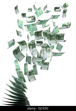 Flying Euro (isolato con percorso di clipping) Foto Stock