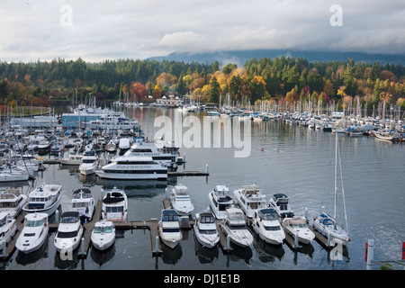 Una veduta aerea di barche e marina di Coal Harbour in Vancouver, British Columbia, Canada. Stanley Park è in distanza. Foto Stock