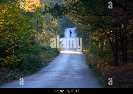 Uomo che cammina sulla strada tra gli alberi in autunno Foto Stock