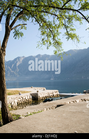 Tree framing porto di mare calmo in montagna Foto Stock