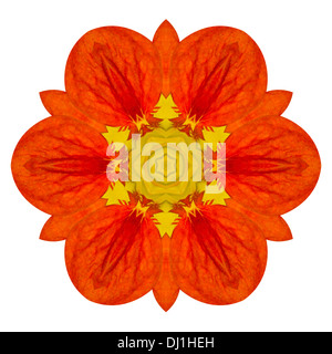 Arancio fiori Mandala caleidoscopica isolati su sfondo bianco Foto Stock