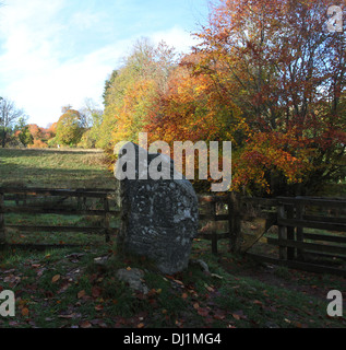 La pietra di eagle strathpeffer scozia novembre 2013 Foto Stock