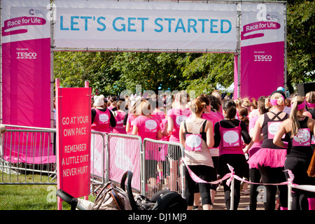 Il fangoso ostacolo corso a Clumber Park nel settembre 2013 per la gara per la vita della ricerca contro il cancro supportato da Tesco. Foto Stock