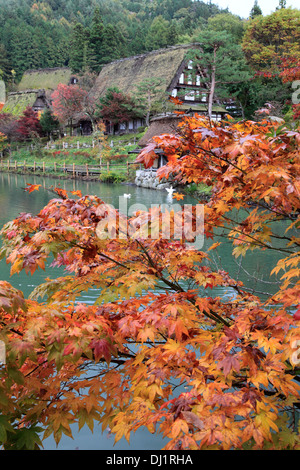 Giappone, Hida Takayama, Hida non Sato, antiche cascine, Foto Stock