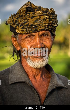 Riso anziano contadino che indossa un capo sciarpa, distretto di Ubud, Bali, Indonesia Foto Stock