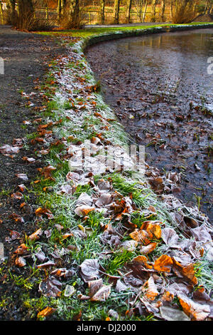 Kilsyth, Glasgow, Regno Unito. Il 19 novembre 2013. Pesanti le polveri di brina l'erba con i colori autunnali in background. Parco Colzium Kilsyth. Credito: ALAN OLIVER/Alamy Live News Foto Stock