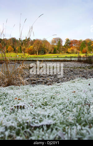 Kilsyth, Glasgow, Regno Unito. Il 19 novembre 2013. Pesanti le polveri di brina l'erba con i colori autunnali in background. Parco Colzium Kilsyth. Credito: ALAN OLIVER/Alamy Live News Foto Stock