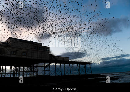 Aberystwyth Wales UK. Martedì 19 Novembre 2013 decine di migliaia di storni in volo a roost in ghisa gambe del lungomare vittoriano pier in Aberystwyth sulla West Wales coast, UK. Ogni sera gli uccelli ritornano dall alimentazione ed eseguire modelli intricati nel cielo prima di stabilirsi per la notte. Credito: keith morris/Alamy Live News Foto Stock