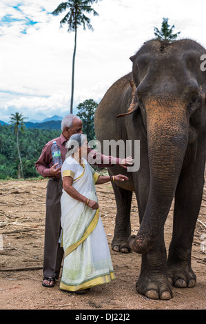 Sri Lanka, Pinnawela, i visitatori locali nel vivaio di elefante Foto Stock