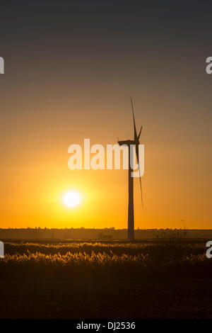 Cambridgeshire Fens, UK. Xix Nov, 2013. Il sole scende sotto l'orizzonte su una chiara serata da una fattoria eolica presso Warboys vicino a Huntingdon in theCambridgeshire Fens UK 19 Novembre 2013. La temperatura è stata appena al di sopra del congelamento in un vivace vento da nord e una notte di gelo è previsto. Credito Eales Julian/Alamy Live News Credito: Julian Eales/Alamy Live News Foto Stock