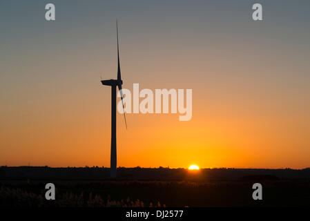 Cambridgeshire Fens, UK. Xix Nov, 2013. Il sole scende sotto l'orizzonte su una chiara serata da una fattoria eolica presso Warboys vicino a Huntingdon nel Cambridgeshire Fens UK 19 Novembre 2013. La temperatura è stata appena al di sopra del congelamento in un vivace vento da nord e una notte di gelo è previsto. Credito: Julian Eales/Alamy Live News Foto Stock