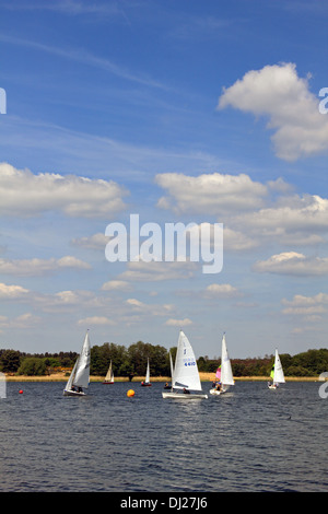 Frensham stagni, Farnham, Surrey, Inghilterra, Regno Unito. Foto Stock