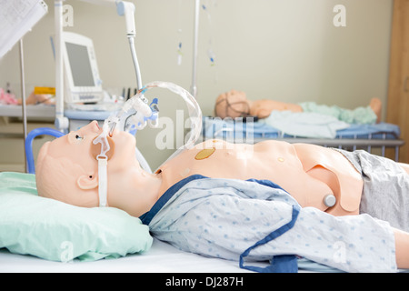 Dummies medica Foto Stock