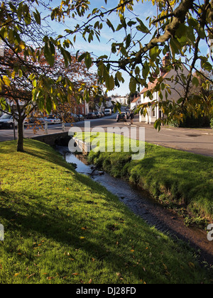 Streaming - Grande Bardfield, Essex Foto Stock