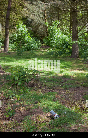 Lo stagno può essere scartato nel settore forestale in follia Hill boschi, Faringdon, Oxfordshire Foto Stock