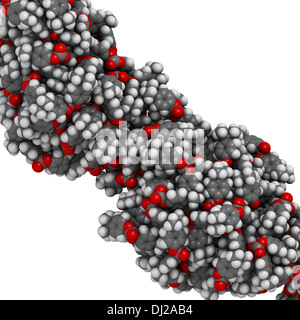 Policarbonato (PC) in plastica, struttura chimica. Realizzato da fosgene e bisfenolo A. Foto Stock