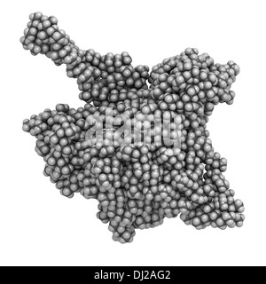 Polipropilene (polipropilene, PP) plastica, struttura chimica. Gli atomi sono rappresentati come sfere convenzionale con codifica a colori Foto Stock