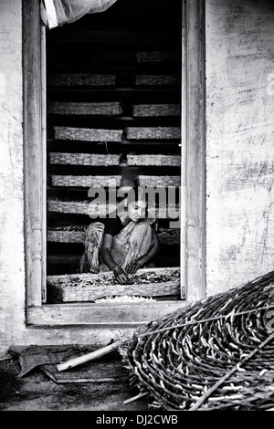 Le donne indiane allevamento dei bachi da seta in un Indiano rurale Casa di villaggio. Andhra Pradesh, India. Monocromatico Foto Stock