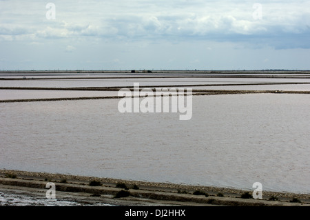 Evaporazione solare saline, salin de giraud Foto Stock