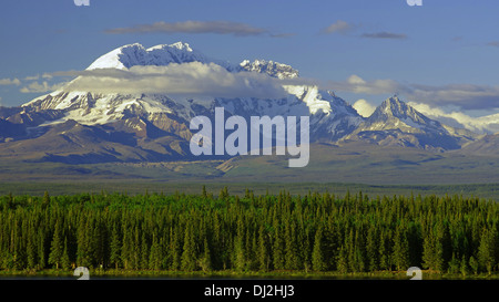 Wrangell St. Elias NP. Foto Stock