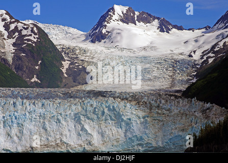 ghiacciaio delle maree Foto Stock