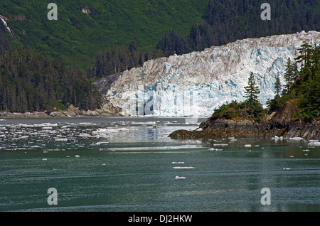 Il wounderful meares glacier Foto Stock