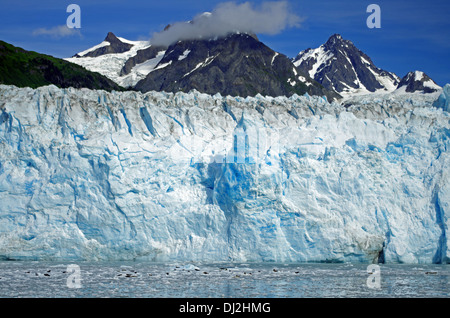 Il wounderful meares glacier Foto Stock