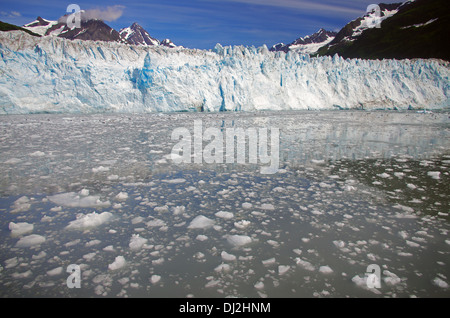 Il wounderful meares glacier Foto Stock