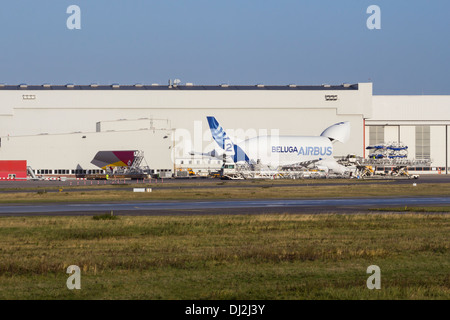 Amburgo, Germania - 13 novembre 2013: Un Tailfin per un nuovo di zecca Asiana Airbus essendo transportet ad un Supertransporter Beluga Foto Stock