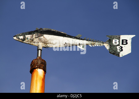 Arrugginimento pesce meteo indicatore del vento. Foto Stock