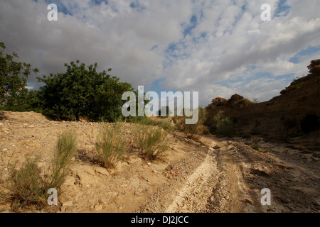 Essiccato fino fiume, Rambla del Cipres, Murcia Foto Stock