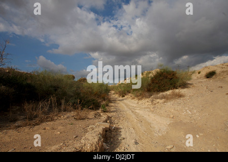 Essiccato fino fiume, Rambla del Cipres, Murcia Foto Stock