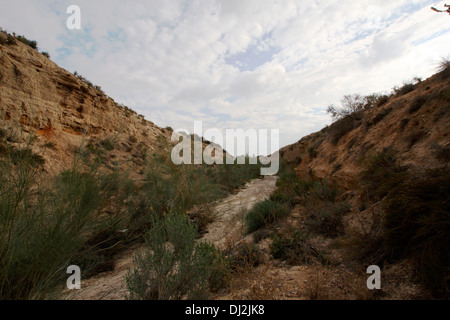 Essiccato fino fiume, Rambla del Cipres, Murcia Foto Stock