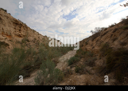 Essiccato fino fiume, Rambla del Cipres, Murcia Foto Stock